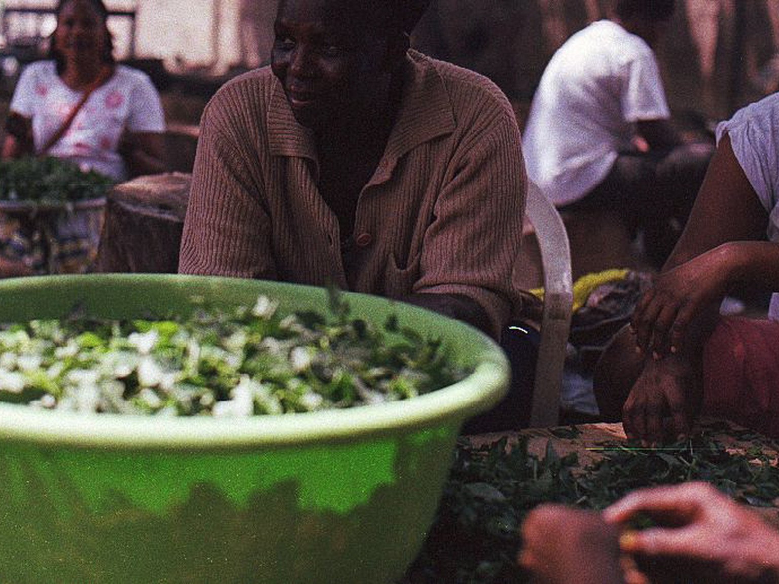 Ghanaian cooks preparing fresh kontomire leaves together